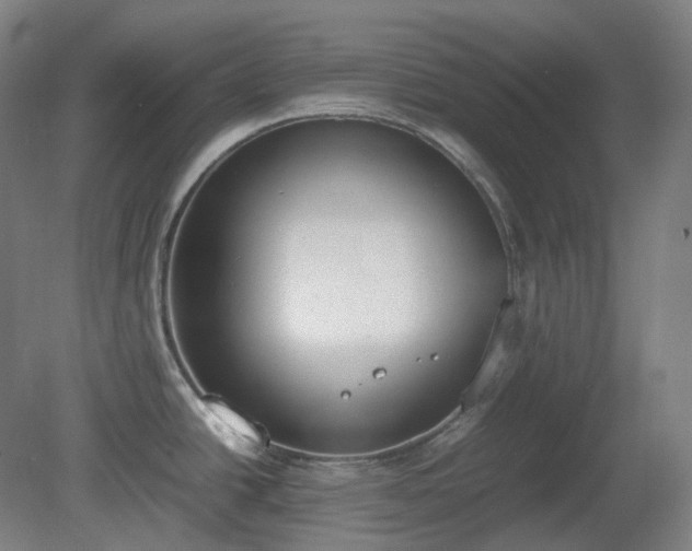 X0000081271438200701181705