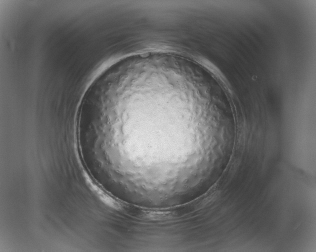 X0000081271439200701181705