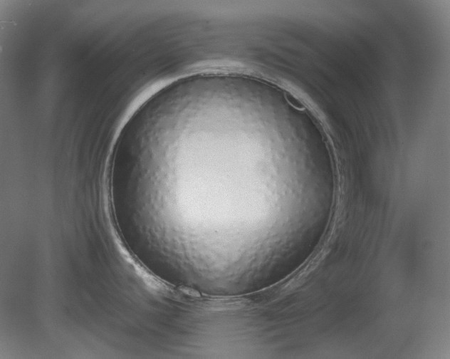 X0000081271440200701181705