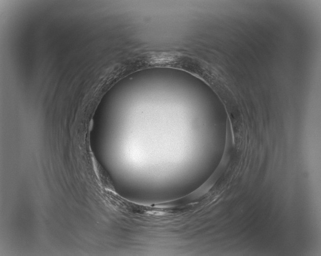 X0000081271441200701181704