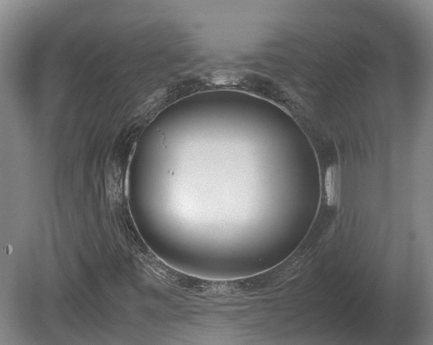 X0000081271443200701181704
