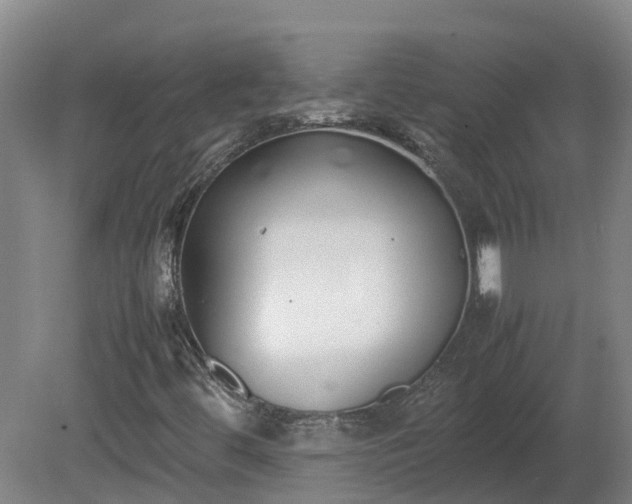 X0000081271444200701181704
