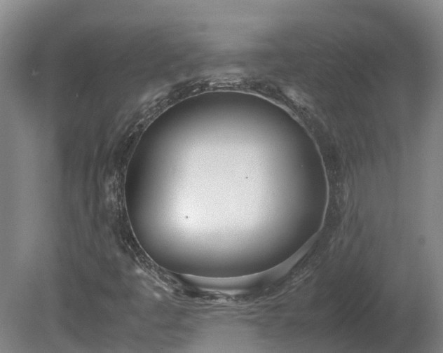 X0000081271445200701181704