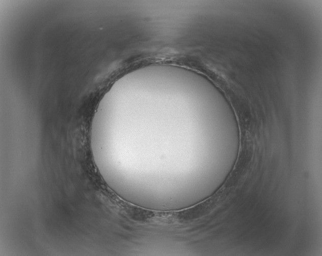 X0000081271447200701181704