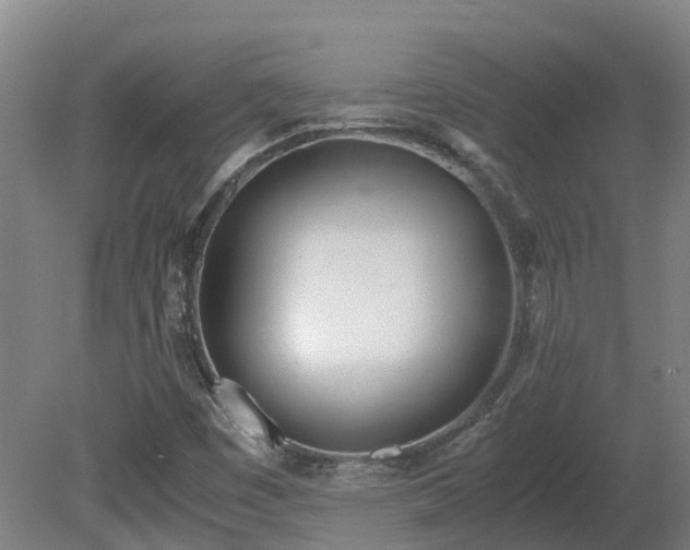 X0000081271449200701181704