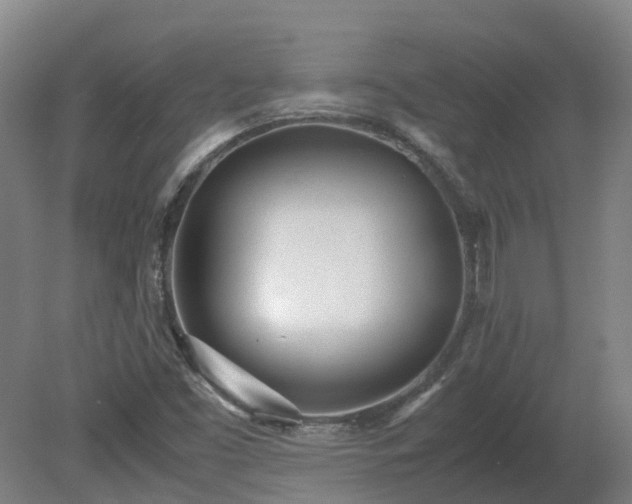 X0000081271453200701181704