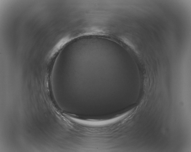X0000081271455200701181704