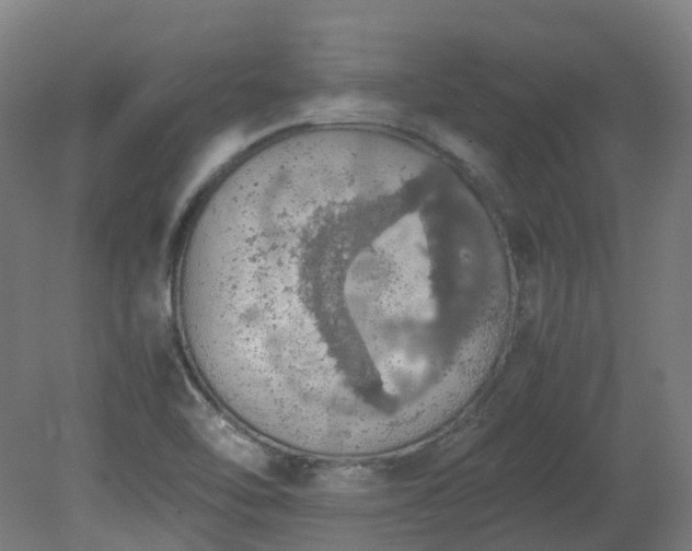 X0000081271462200701181704