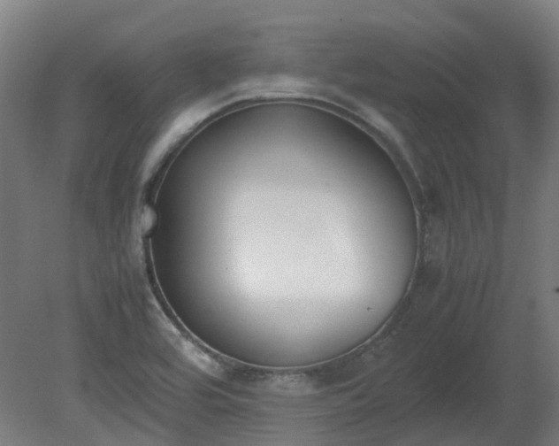 X0000081271464200701181704