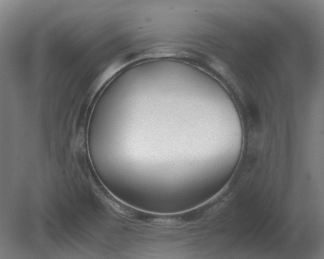 X0000081271465200701181704