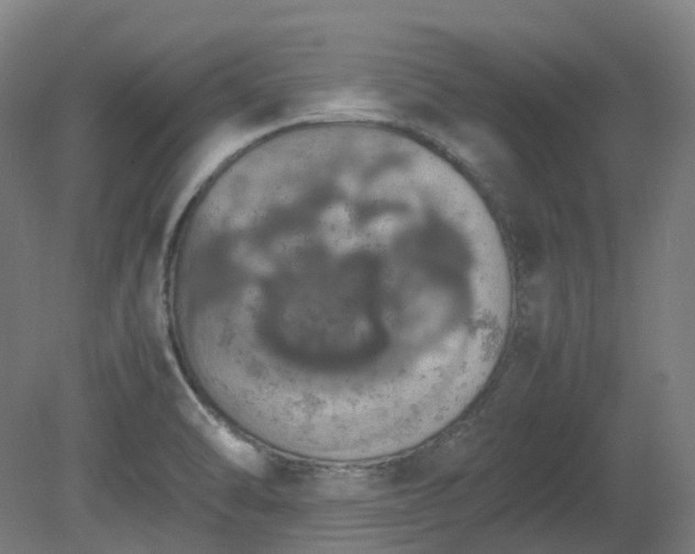X0000081271470200701181704