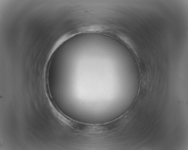 X0000081271475200701181704