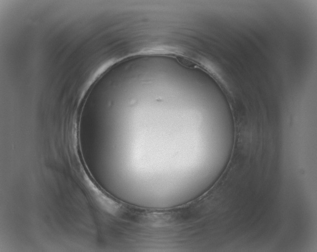 X0000081271476200701181704