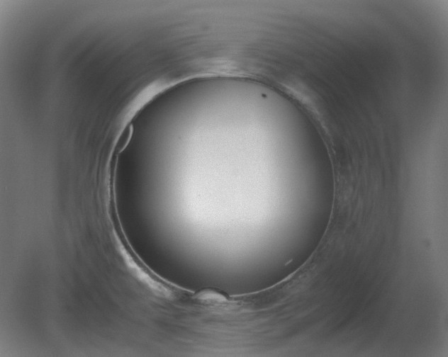 X0000081271479200701181704