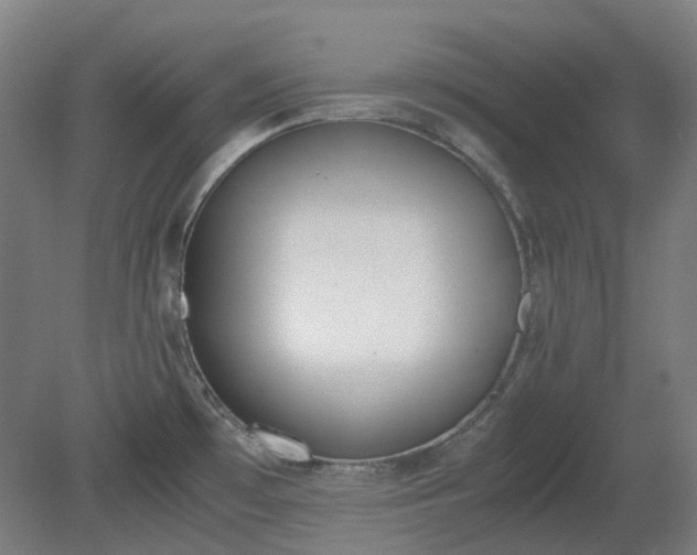 X0000081271481200701181704