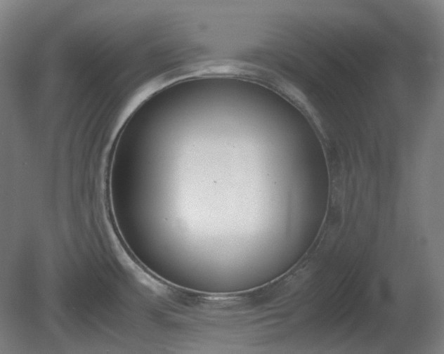 X0000081271483200701181704