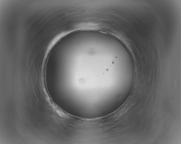 X0000081271488200701181704