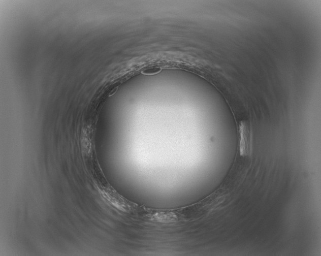 X0000081271491200701181703