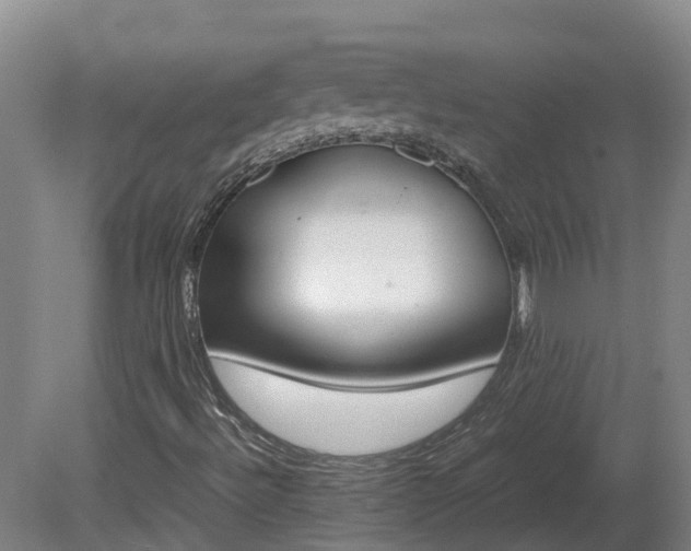 X0000081271492200701181703