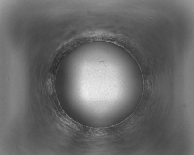 X0000081271493200701181703
