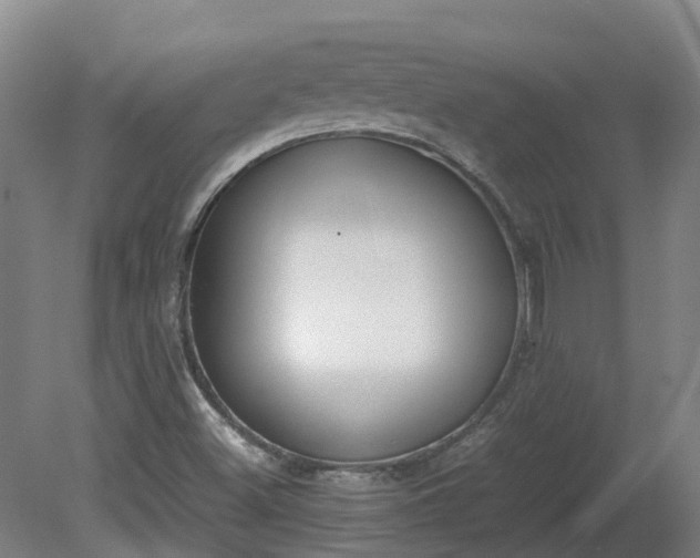 X0000081271500200701181703