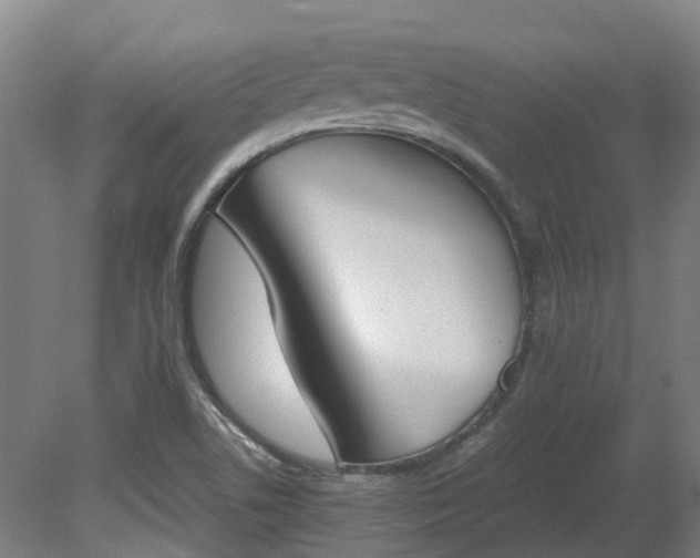 X0000081271506200701181703