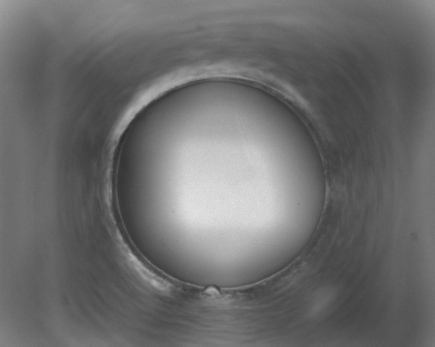 X0000081271512200701181703