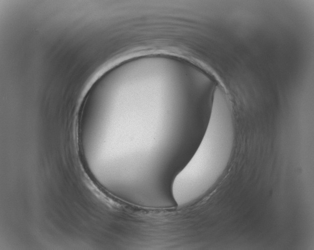 X0000081271516200701181703