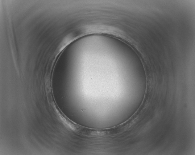 X0000081271521200701181703