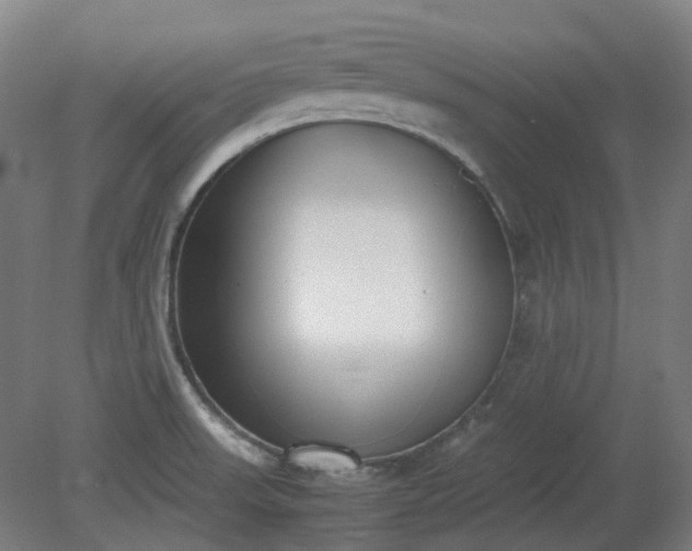 X0000081271523200701181703