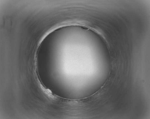 X0000081271524200701181703