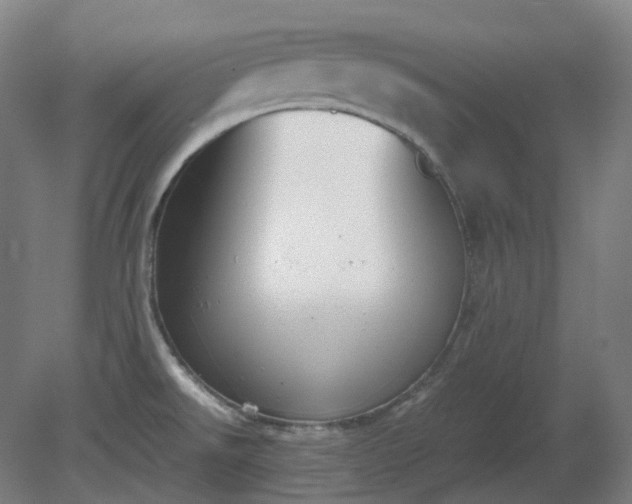X0000081271526200701181704