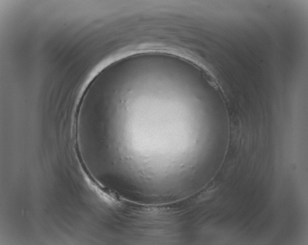 X0000081271527200701181704
