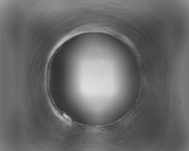 X0000081271528200701181704