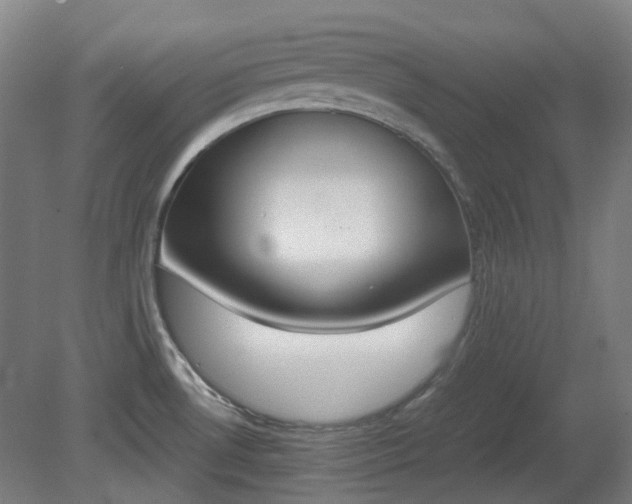 X0000081271530200701181704