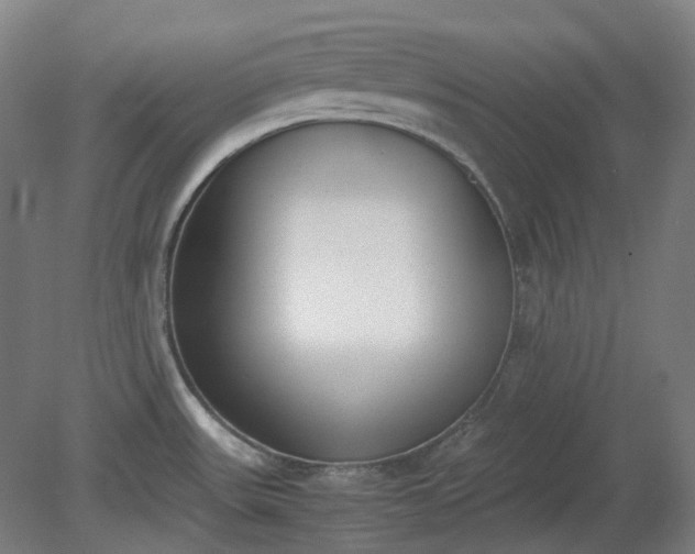 X0000081271531200701181704