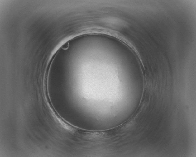 X0000081271533200701181704
