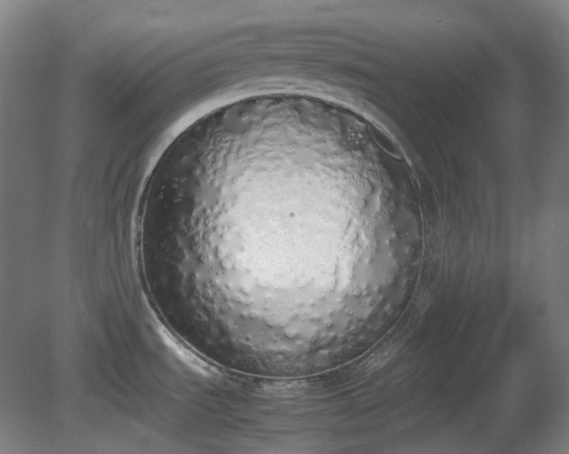 X0000081271535200701181704