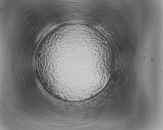 X0000081270002200701251614