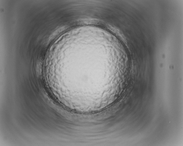 X0000081270010200701251614