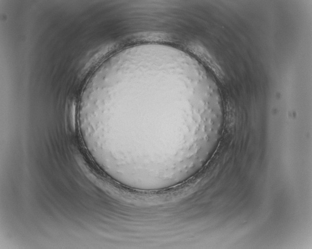 X0000081270014200701251614