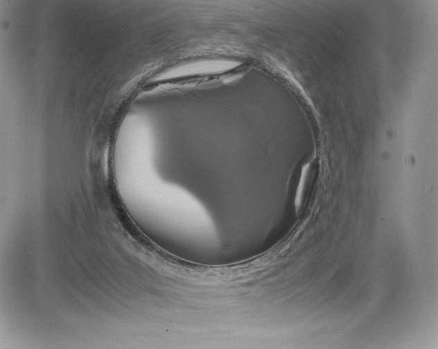 X0000081270019200701251614