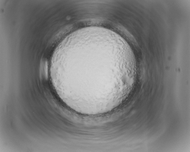 X0000081270022200701251614