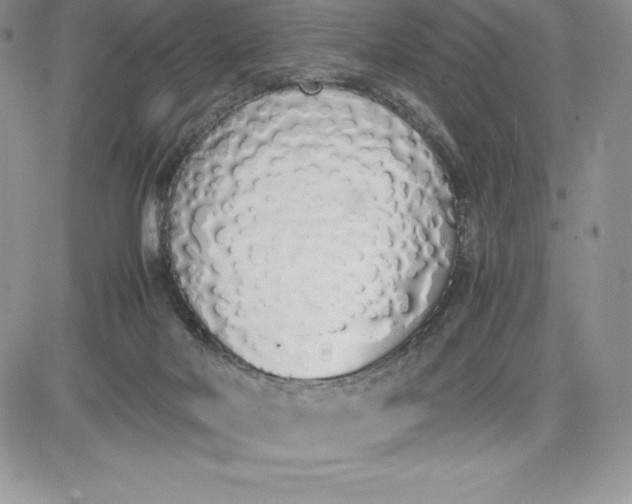 X0000081270026200701251614