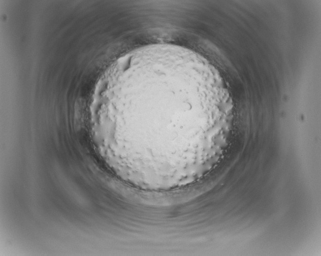 X0000081270030200701251614