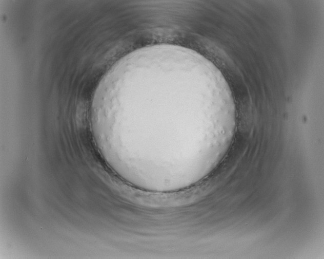 X0000081270034200701251614