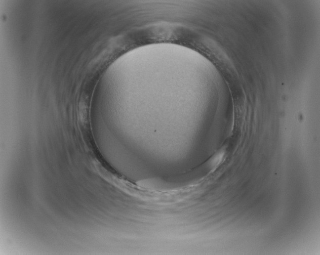 X0000081270035200701251614