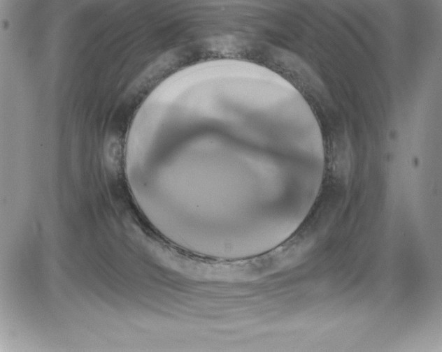 X0000081270036200701251614