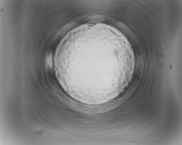 X0000081270046200701251614