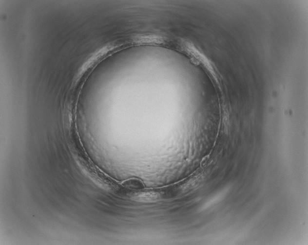 X0000081270059200701251613
